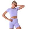 Exercise Outfits for Women Two Pieces Seamless Yoga Outfits Sports Bra and Leggings Shorts Bottoms Set Tracksuits Running Fitness Activewear Gym Sportwear Jogging Short Sleeve Clothing Purple M view 2
