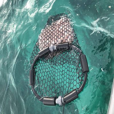The ChummyHoop - Collapsible Rubber Chum Bag (Teal)