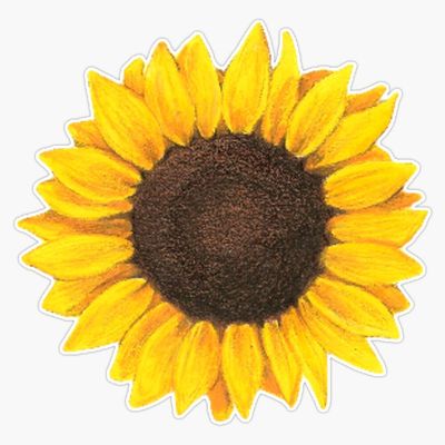 Sunflower Drawing Sticker Decal Vinyl Bumper Stickers Waterproof 5"