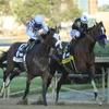 Authentic & Tiz The Law Battle 2020 Kentucky Derby Horse Racing 8X10 Photo
