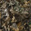 Titan 3D Leafy Blind 5' x 8', Real Tree Edge Pattern view 2