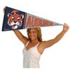 Auburn Pennant Throwback Vintage Banner view 4