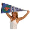 Florida Gators Pennant Throwback Vintage Banner view 4