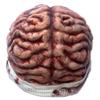 Ghoulish Productions Zombie Brain Cap Mask. 27315. One Size Latex Mask. Handmade in Mexico. Halloween Costume Headwear view 2