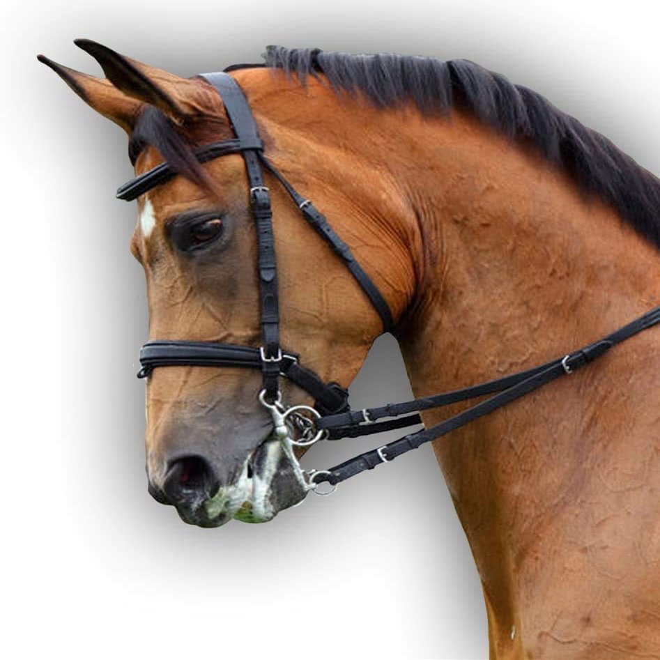 Saddlesworld Soft Padded Premium Black Leather Bridle for Horses | The Padded Bridle with Reigns | English Leather browband and Noseband Padding| Comfortable, Safe, Gentle and Effective - Cob Size