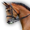 Saddlesworld Soft Padded Premium Black Leather Bridle for Horses | The Padded Bridle with Reigns | English Leather browband and Noseband Padding| Comfortable, Safe, Gentle and Effective - Cob Size view 1