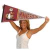 Minnesota Gophers Pennant Throwback Vintage Banner view 4