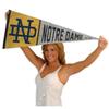 Irish Pennant Throwback Vintage Banner view 4