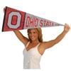 Ohio State Buckeyes Pennant Throwback Vintage Banner view 4