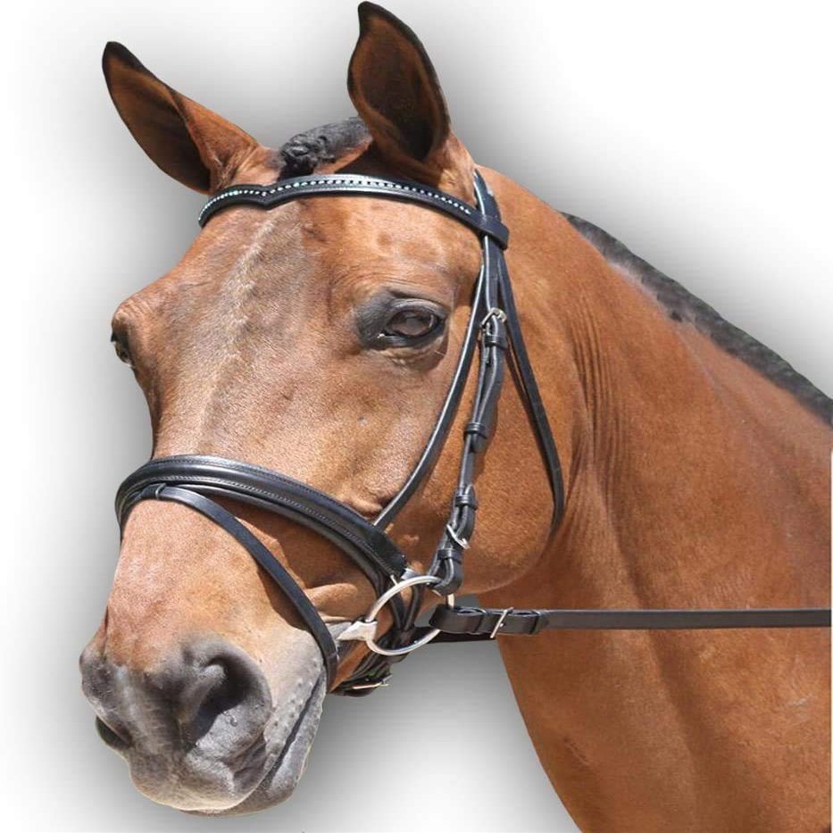 Saddlesworld Padded Dressage Brown Leather Bridle for Horses | Designed with EU Inspired Buckle | Includes Web Reins with Hand Stops