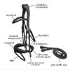 Saddlesworld Padded Dressage Brown Leather Bridle for Horses | Designed with EU Inspired Buckle | Includes Web Reins with Hand Stops view 3