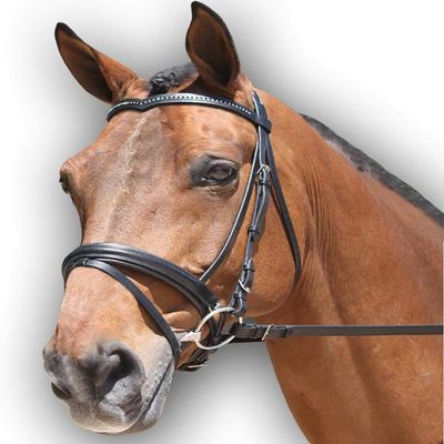 Padded Dressage Black Leather Bridle for Horses | Designed with Brass Buckle | Includes Web Reins with Hand Stops | Pony Size Leather Horse Bridle