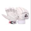 SG Test White Other Batting Legguard Test White (White) view 1