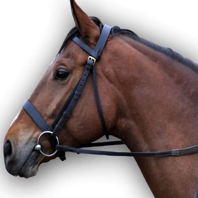 Saddlesworld Leather Bridle Plain Hunter for Horses | Available in Brown Color | COB Size