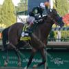 Authentic 2020 Kentucky Derby Winner Horse Racing John Velazquez Up 11X14 Photo