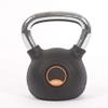 AGYH Kettlebells Cast Iron Kettlebell, Strength Training Dumbbell Barbell Fitness Equipment, 2kg/4kg/6kg/8kg/10kg/12kg/14kg/16kg/18kg/20kg/22kg/24kg (Size : 12kg/26.4lbs) view 1