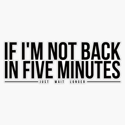 Ace Ventura: Pet Detective - If I'm Not Back in Five Minutes, Just Wait Longer Sticker Decal Vinyl Bumper Stickers Waterproof 5"