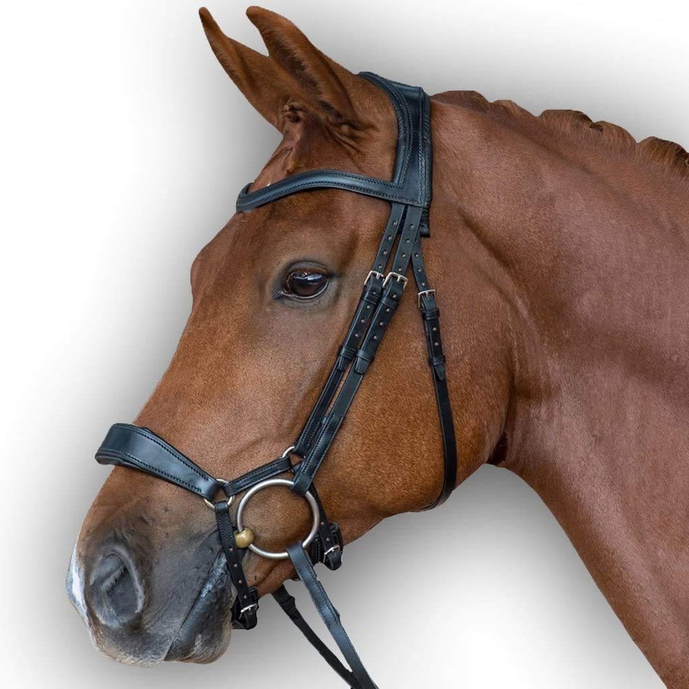 Leather Premium Shaped Padded Bridle for Horses Colors (Brown, Pony)