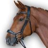 Leather Premium Shaped Padded Bridle for Horses Colors (Brown, Pony) view 1