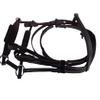 Leather Premium Shaped Padded Bridle for Horses Colors (Brown, Pony) view 3