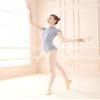 Daydance Gray Turtleneck Leotards for Women Ballet, Dance, Gymnastics, Aerial Yoga, Swim view 4