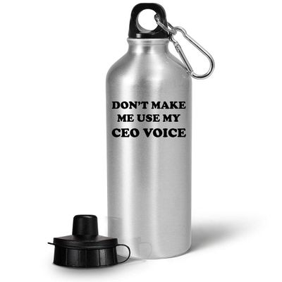 Art by Chelsydale Gifts for CEO Water Bottle Tumbler Portable Drinkware - Chief Executive Officer Motivational Boss Day Office Party Funny Cute Gag Appreciation Idea - Dont Make Me Use My Voice