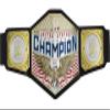 WWE Championship Title Featuring Authentic Styling, Metallic Medallions, Leather-like Belt & Adjustable Feature that Fits Waists of Kids 8 and Up view 1