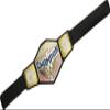 WWE Championship Title Featuring Authentic Styling, Metallic Medallions, Leather-like Belt & Adjustable Feature that Fits Waists of Kids 8 and Up view 2