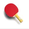 Butterfly Specialist Table Tennis Bat One Size view 3