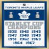 Trends International NHL Toronto Maple Leafs - Champions 16 Wall Poster, 22.375" x 34", Gold Framed Version view 1