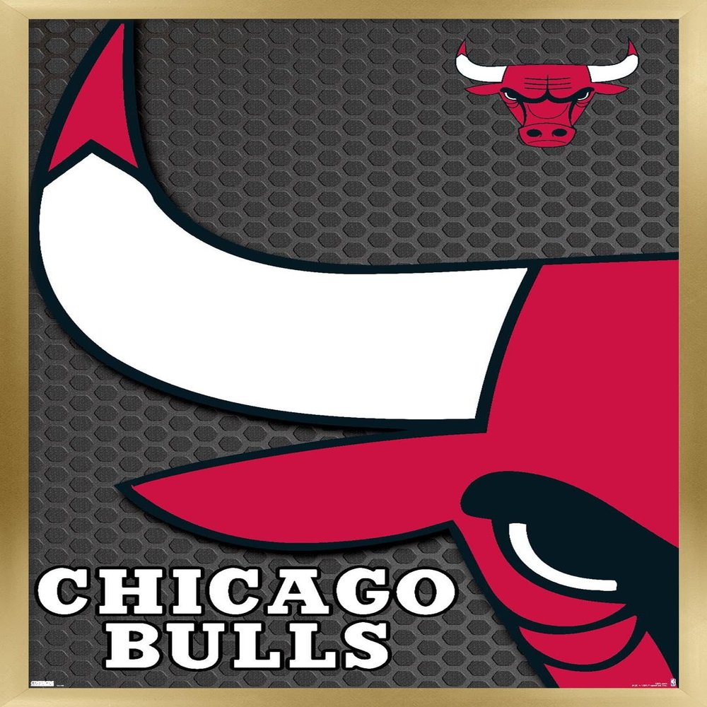 Trends International NBA Chicago Bulls - Logo 14 Wall Poster, 14.725" x 22.375", Gold Framed Version