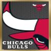 Trends International NBA Chicago Bulls - Logo 14 Wall Poster, 14.725" x 22.375", Gold Framed Version view 1