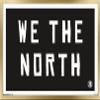 Trends International NBA Toronto Raptors - We The North 16 Wall Poster, 22.375" x 34", Gold Framed Version view 1