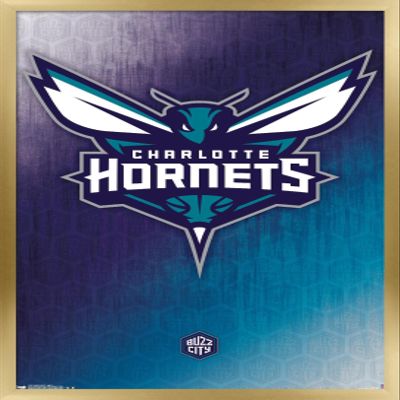 Trends International NBA Charlotte Hornets - Logo 14 Wall Poster, 14.725" x 22.375", Gold Framed Version