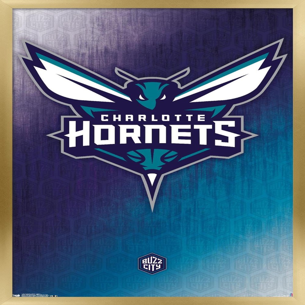 Trends International NBA Charlotte Hornets - Logo 14 Wall Poster, 22.375" x 34", Gold Framed Version
