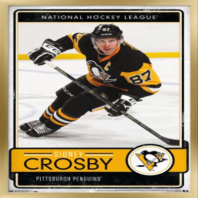 Trends International NHL Pittsburgh Penguins - Sidney Crosby 16 Wall Poster, 22.375" x 34", Gold Framed Version