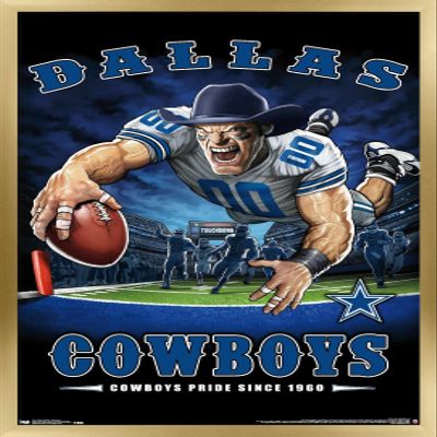 Trends International NFL Dallas Cowboys - End Zone 17 Wall Poster, 22.375" x 34", Gold Framed Version