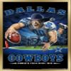 Trends International NFL Dallas Cowboys - End Zone 17 Wall Poster, 22.375" x 34", Gold Framed Version view 1