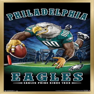 Trends International NFL Philadelphia Eagles - End Zone 17 Wall Poster, 22.375" x 34", Gold Framed Version