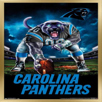 Trends International NFL Carolina Panthers - 3 Point Stance 19 Wall Poster, 22.375" x 34", Gold Framed Version