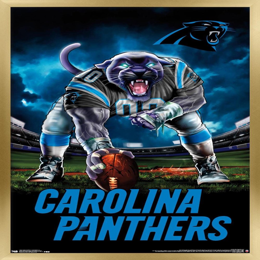 Trends International NFL Carolina Panthers - 3 Point Stance 19 Wall Poster, 22.375" x 34", Gold Framed Version