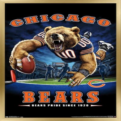 Trends International NFL Chicago Bears - End Zone 17 Wall Poster, 22.375" x 34", Gold Framed Version