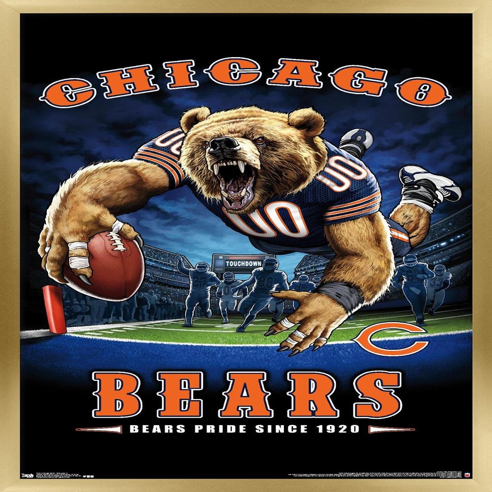 Trends International NFL Chicago Bears - End Zone 17 Wall Poster, 22.375" x 34", Gold Framed Version