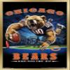 Trends International NFL Chicago Bears - End Zone 17 Wall Poster, 22.375" x 34", Gold Framed Version view 1
