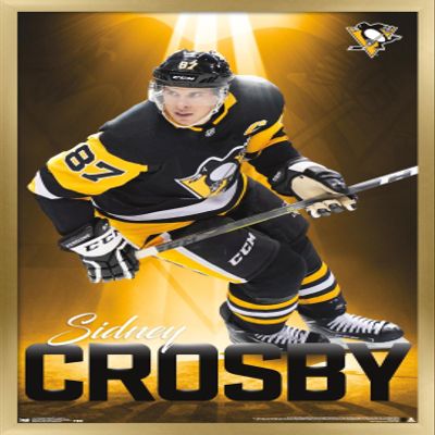 Trends International NHL Pittsburgh Penguins - Sidney Crosby 18 Wall Poster, 22.375" x 34", Gold Framed Version