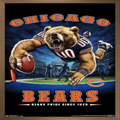 Trends International NFL Chicago Bears - End Zone 17 Wall Poster, 22.375" x 34", Bronze Framed Version