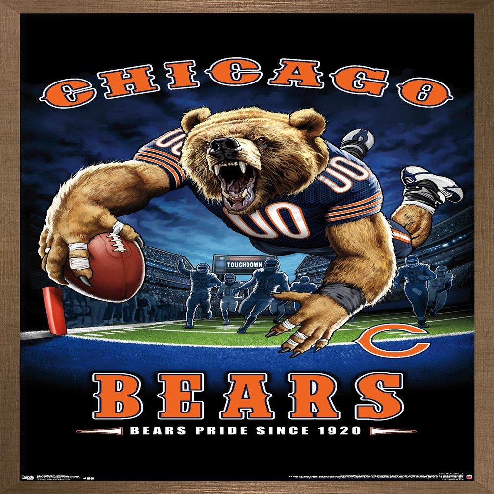 Trends International NFL Chicago Bears - End Zone 17 Wall Poster, 22.375" x 34", Bronze Framed Version