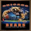 Trends International NFL Chicago Bears - End Zone 17 Wall Poster, 22.375" x 34", Bronze Framed Version view 1