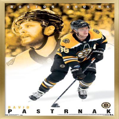 Trends International NHL Boston Bruins - David Pastrnk 19 Wall Poster, 22.375" x 34", Gold Framed Version