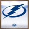 Trends International NHL Tampa Bay Lightning - Logo 17 Wall Poster, 22.375" x 34", Bronze Framed Version view 1